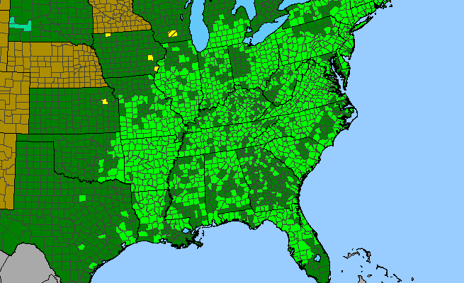 The range of Carya glabra